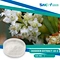 Dodder extract 10:1 is commonly used in dietary supplements and herbal remedies to support overall health and wellness. 